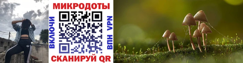 Псилоцибиновые грибы GOLDEN TEACHER  Ворсма 